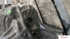 АКПП на Volkswagen Golf 5 2003-2009, артикул 8300906 BLP на Volkswagen Golf 5 2003-2009  1.6 л — купить, цена 20900 руб.