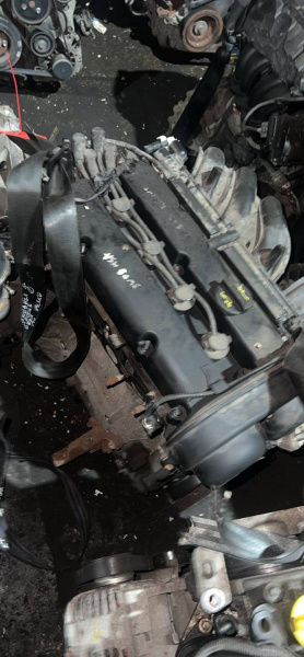 Двигатель SHDA Ford Focus 2 restailing 1.6 Бензин