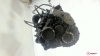 МКПП 6 ст. Volkswagen Scirocco 2008-, артикул 7653558 CFHC на Volkswagen Scirocco 2008-2024 2 л — купить, цена 48800 руб.