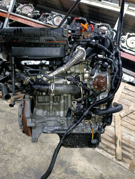 Двигатель 9H06 Peugeot 5008 1.6 Дизель