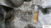 МКПП 5 ст. Peugeot 308 2007-2013, артикул 8822949 5FS на Peugeot 308 2007-2013  1.6 л — купить, цена 3100 руб.