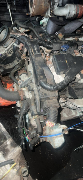 Двигатель MF5 Honda Civic 8 1.3 Бензин