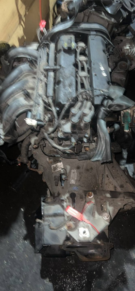 Двигатель SHDA Ford Focus 2 restailing 1.6 Бензин