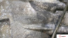 МКПП 5 ст. Ford C-Max 2002-2010, артикул 8821682 G6DA на Ford C-Max 2002-2010 2 л — купить, цена 700 руб.