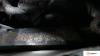 Контрактный двигатель BLB на Audi A4 (B7) 2005-2007 2 л (BRE; BRE; BLB) — купить, цена 29999 руб.
