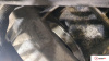 Контрактный двигатель M271.946 на Mercedes C W203 2000-2007 1.8 л (M271.946) — купить, цена 81700 руб.