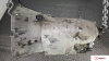 Купить коробку Мерседес W203 - МКПП на Mercedes C-Class W 203, Артикул 9041764 OM 646.963 на Mercedes C W203 2000-2007  2.2 л — купить, цена 7800 руб.