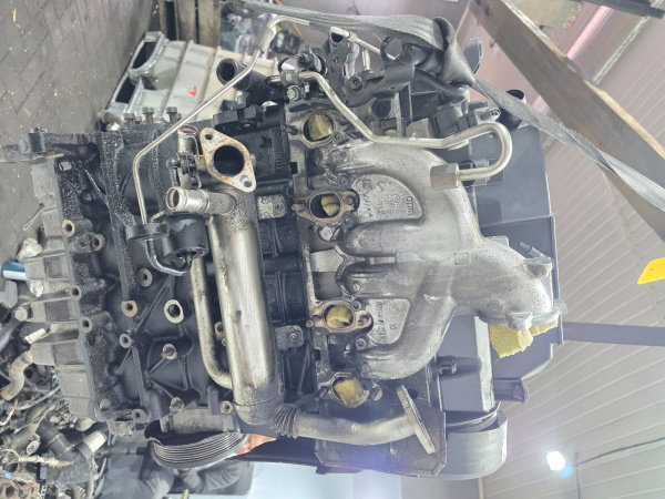 Двигатель BLS Seat Leon 2 1.9 Дизель
