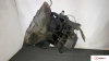 МКПП 5 ст. Opel Corsa D 2006-2011, артикул 9031232 A12XER на Opel Corsa D 2006-2011  1.2 л — купить, цена 14700 руб.