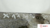 МКПП 6 ст. 4х4 Honda CR-V 2002-2006, артикул 7539096 N22A2 на Honda CR-V 2002-2006  2.2 л — купить, цена 11000 руб.