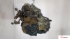 МКПП 5 ст. 4х4 Toyota RAV 4 2000-2005, артикул 8938788 1CDFTV на Toyota RAV 4 2000-2005 2 л — купить, цена 700 руб.