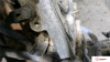 Контрактный двигатель EZ30D на Subaru Tribeca (B9) 2004-2007 3 л — купить, цена 66500 руб.