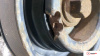 Контрактный двигатель SNJ… на Ford Fiesta 2008-2013 1.2 л — купить, цена 44700 руб.